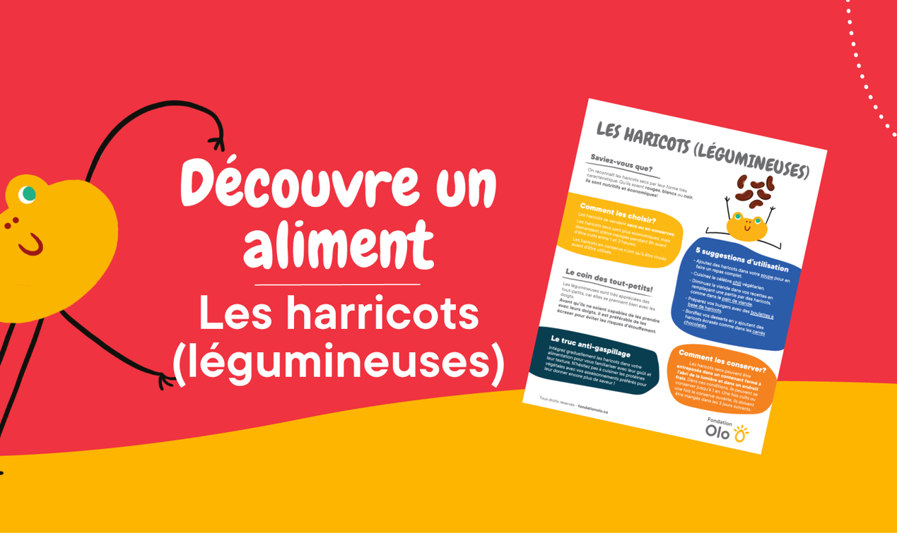 Bandeaux Affiche Harricots Legumineuses